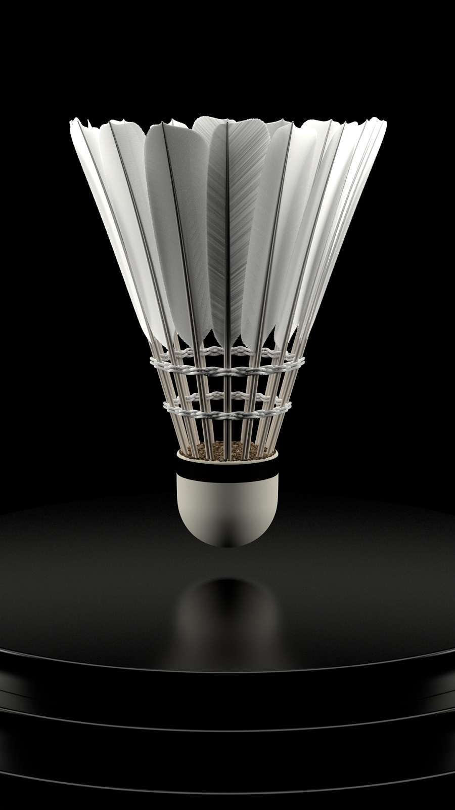 具备了明显 具备了明显