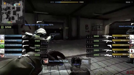 小熊为何走 小熊为何走