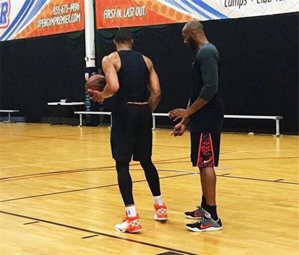 五成胜率仍 五成胜率仍